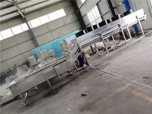 诸城源晟机械 专业桔子清洗机生产厂家